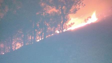 Combaten gobiernos Federal, Estatal y municipales incendios forestales en Oaxaca