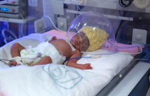 Los cinco bebés se encuentran estables