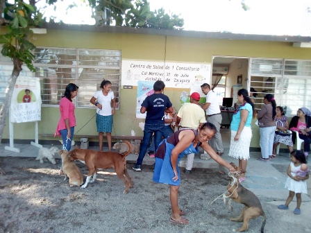 En el Istmo, continúa Semana Nacional de Vacunación Antirrábica Canina y Felina