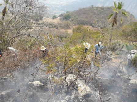 Resguardan a familia por incendio forestal en Tecomaxtlahuaca, Oaxaca