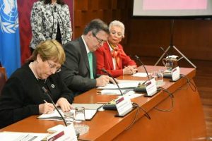 Alta comisionada - canciller