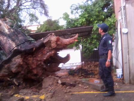 Atiende Protección Civil Municipal afectaciones por lluvia intensa en la capital