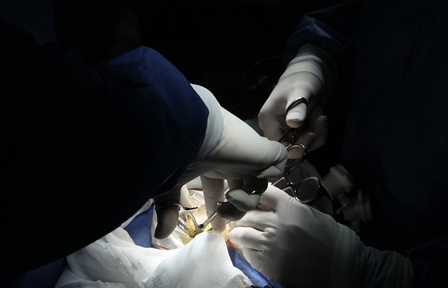 Donación de médula ósea permite tratar y curar enfermedades malignas: IMSS