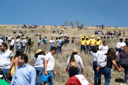 Lanzan reto para reforestar en 24 municipios de las ocho regiones del estado