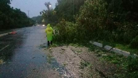 Activan Plan DN-III por lluvias en el Istmo de Tehuantepec: CEPCO