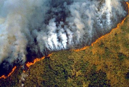 Expresan instituciones de siete países preocupación por incendios en la Selva Amazónica
