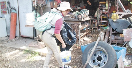 Cerco sanitario contra dengue