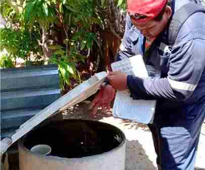Emite IMSS medidas de prevención contra el dengue