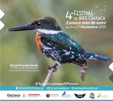 Alberga Oaxaca mayor cantidad de especies de aves en México