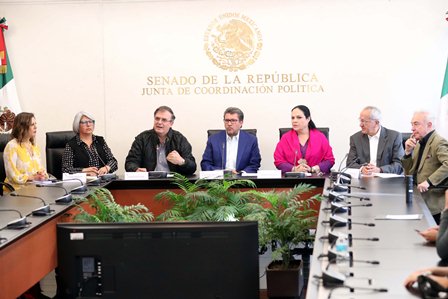 Consulta canciller al Senado sobre eventuales cambios al T-MEC