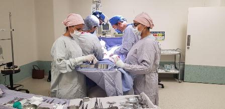 En menos de una semana, cinco procuraciones multiorgánicas; beneficiarán a más de 200 personas