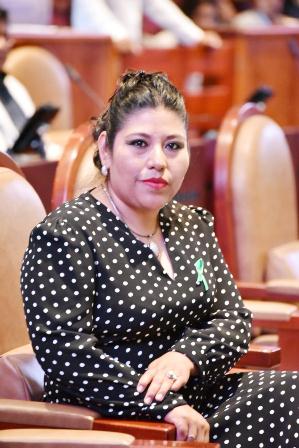 Advierte Congreso juicio político, si fiscal no presenta avances del caso María del Sol