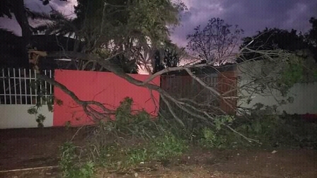 Caída de árboles y daños en vivienda deja lluvia y granizada, así como fuertes vientos