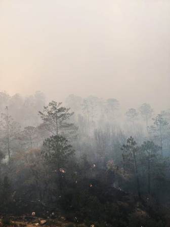 Emiten Declaratoria de Emergencia para San Pedro y San Pablo Ayutla por incendios forestales