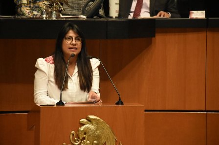 Exhortan a Consejo de Salubridad General garantizar abasto de insumos para personal médico