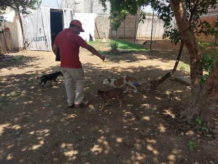 Descarta Ayuntamiento capitalino presunto caso de maltrato animal en Pueblo Nuevo