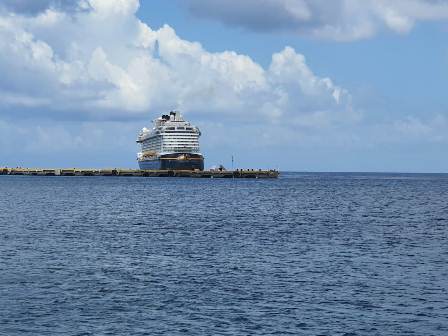 Exitosa repatriación de 86 mexicanos tripulantes de cruceros