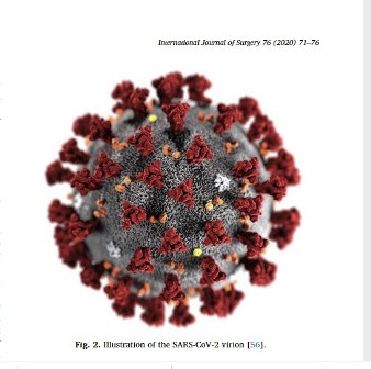 Realizan investigadoras e investigadores de la UABJO aportes sobre el Covid-19