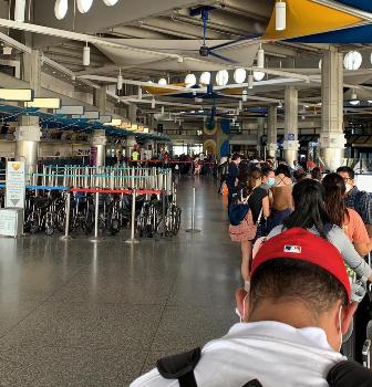 Regresan 321 tripulantes mexicanos de cruceros internacionales