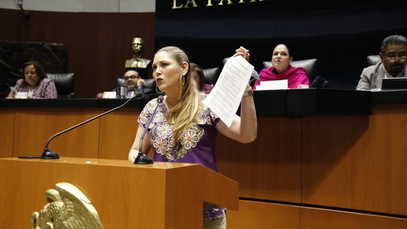 Verónica Noemí Camino Farjat
