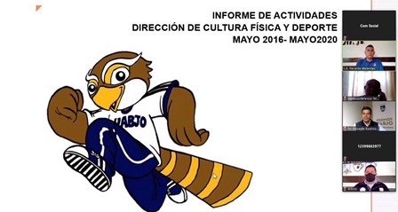 Informe de actividades