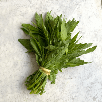 Debe evitarse el consumo de epazote como antiparasitario: García Lozano