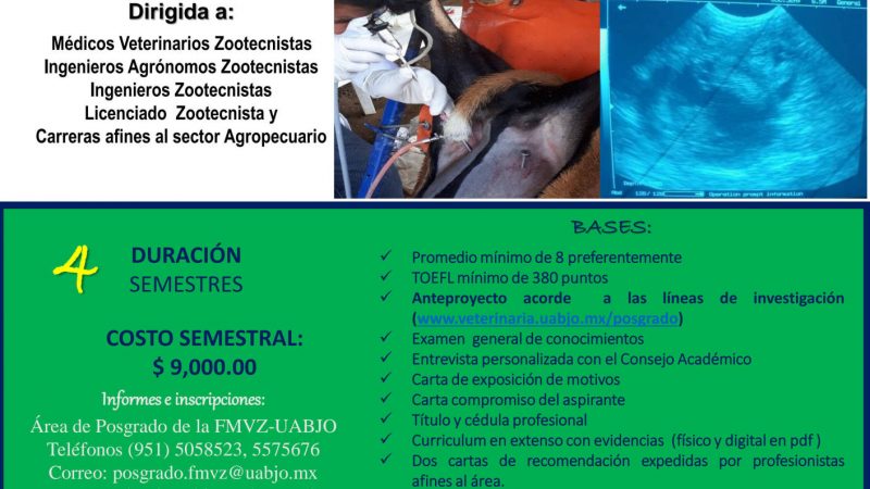 Maestría en Producción Animal