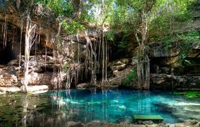 URGE REGLAMENTAR ACTIVIDADES HUMANAS EN YUCATÁN, EN RIESGO RECURSOS NATURALES