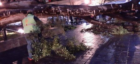 Declara Gobierno Federal siete municipios en emergencia y tres en desastre en Oaxaca