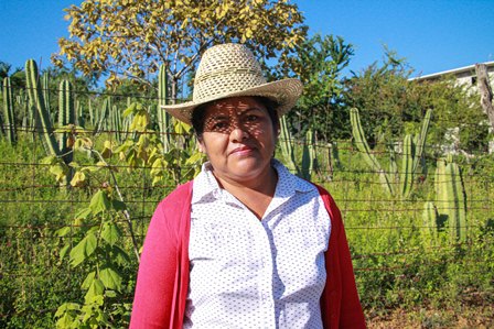 Defensora oaxaqueña de Derechos Humanos en Festival de Cine en la Ciudad de México