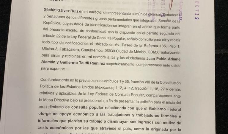 Presentan senadores