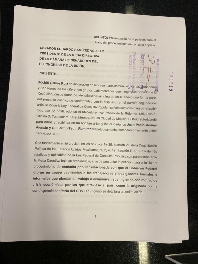 Presentan solicitud de consulta popular para apoyar económicamente a afectados por pandemia