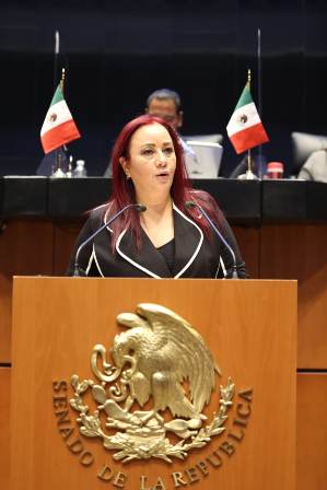 Establecer como derecho humano el servicio de suministro eléctrico, plantea senadora