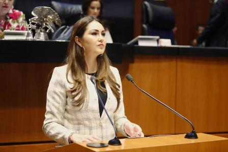 Urgen a diseñar un Plan Nacional Contra la Violencia Feminicida