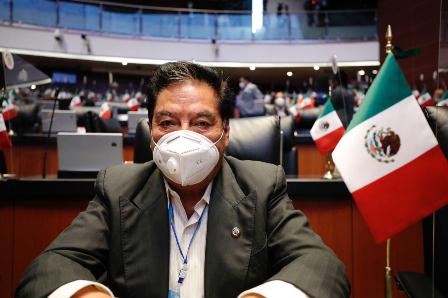 Demandan aumentar sanciones y penas al delito de tala clandestina