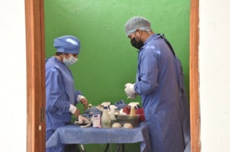 Reactiva Ayuntamiento de Oaxaca de Juárez jornadas de esterilización animal