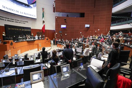 Ratifica Pleno del Senado improcedente la petición de consulta popular sobre apoyo económico