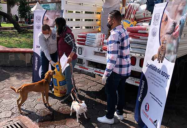 ENTREGA LA FMVZ DE LA UNAM ALIMENTO PARA PERROS Y GATOS
