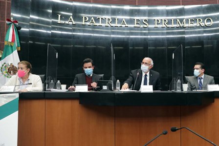 Atienden IMSS e ISSSTE pandemia sin descuidar otras áreas sustantivas, informan al Senado