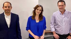 Lily Téllez, senadora panista ignorante