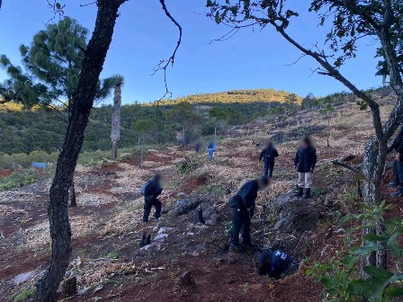 Localizan tres cadáveres al interior de una cueva, en San Miguel Coatlán, Oaxaca