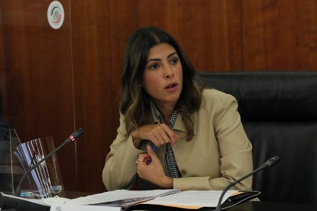 Proponen ampliar requisitos para ser titular de la Comisión Nacional de Derechos Humanos