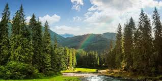 Anuncia México su adhesión a la Coalición de Alta Ambición por la Naturaleza y las Personas