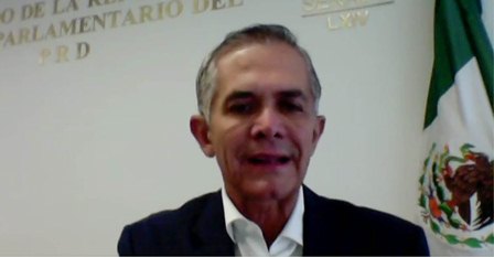 Solicitan promover y facilitar el uso de caninos de asistencia