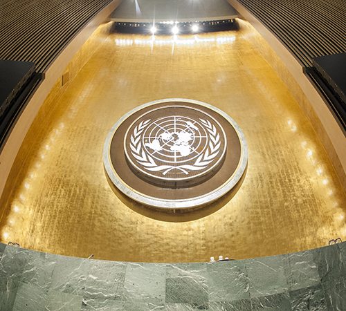 Covid-19 representa hambruna mundial catastrófica urge priorizar la seguridad alimentaria, según expertos  de la Asamblea General de la ONU
