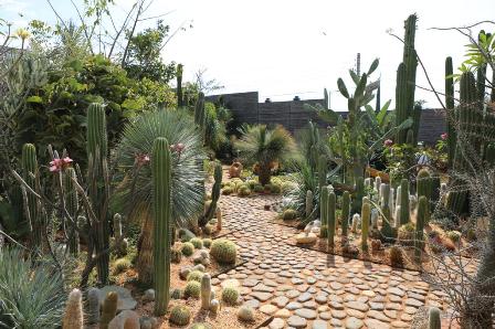 “Vives Verde”, lugar que pasó de ser un basurero a un jardín de esculturas y bellezas botánicas