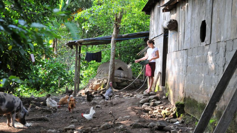 NICARAGUA: EXPERTA DE LA ONU CONDENA EL ASESINATO DE UN ACTIVISTA Y PIDE PROTEGER A LOS DEFENSORES MEDIOAMBIENTALES
