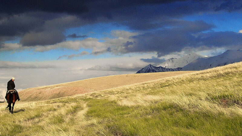 LA NATURALEZA DEBE REGIR LA TOMA DE DECISIONES SI QUEREMOS SOBREVIVIR