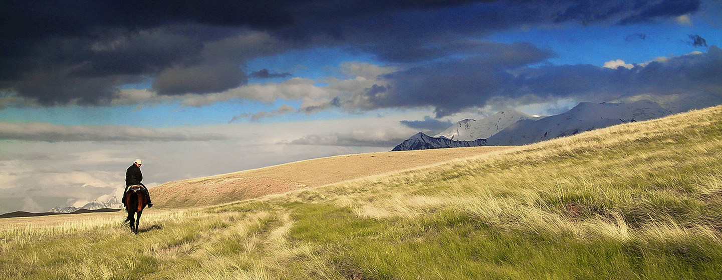 LA NATURALEZA DEBE REGIR LA TOMA DE DECISIONES SI QUEREMOS SOBREVIVIR