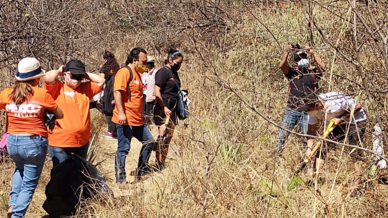 Ciudadanos continúan reforestando el parque ecológico del Cerro de El Fortín -Video-